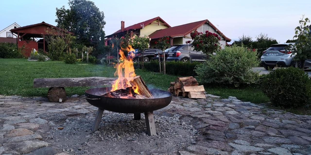 Pod Kasztanem Bed & Breakfast Swinoujscie Exterior photo